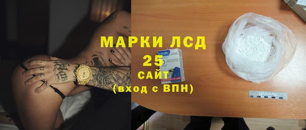 PSILOCYBIN Аша